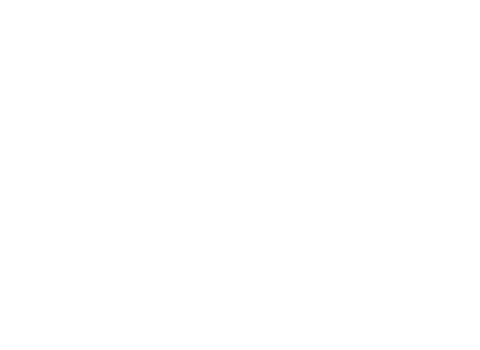 The Cavalier — Defence Coaching Since 2001