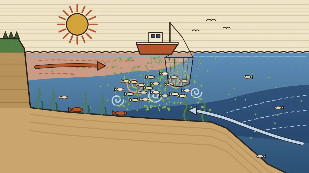 Ocean cross-section showing a warm surface current and a cold deep current meeting over a shallow continental shelf, with plankton and a school of fish crowded at the meeting zone below a fishing boat
